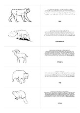 Kartei Zoo 1.pdf